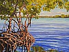 Red Mangroves